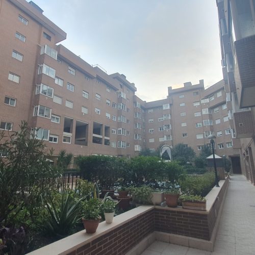 20250110_175806(1)