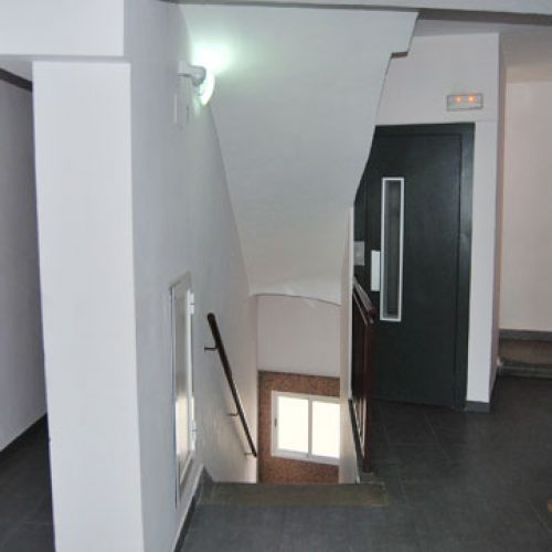 52454189-P